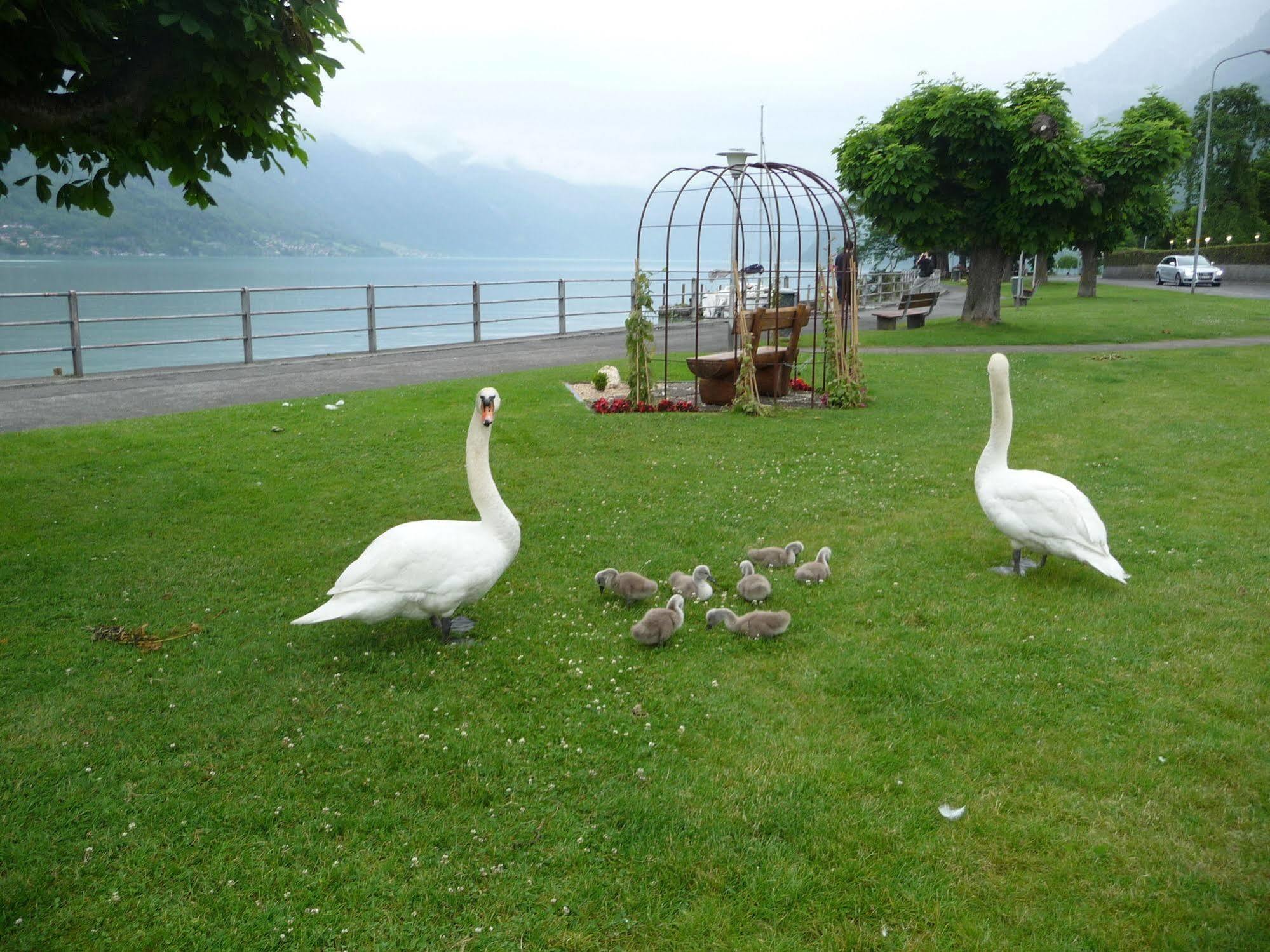 Seiler Au Lac Bönigen Exterior foto